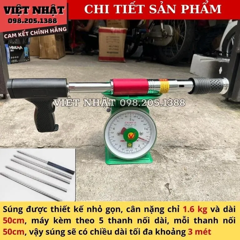 sung ban dinh co lon dat 5 1